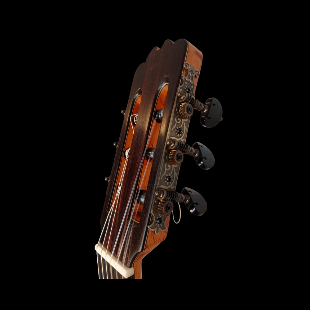 Clásica II - Vista 3